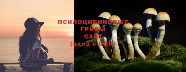 спайс Касимов