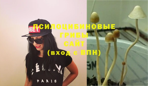 спайс Касимов