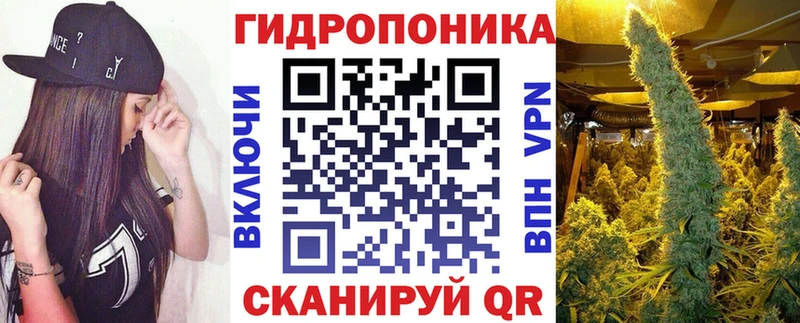 Конопля планчик  Купить закладки  Ужур 